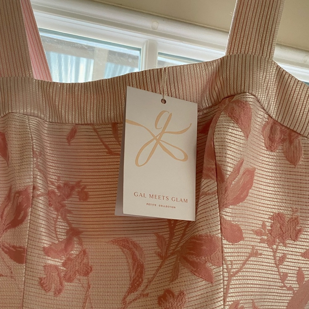 Gal Meets Glam Elise size 6 NWT